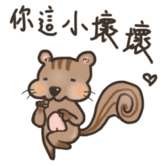 [LINEスタンプ] The crazy＆funny＆cute squirrel