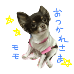 [LINEスタンプ] モモスタンプ1