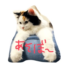 [LINEスタンプ] 猫の天ぷらスタンプ♫
