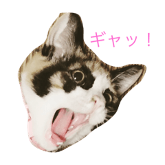 [LINEスタンプ] 父子家庭のチビとタマ