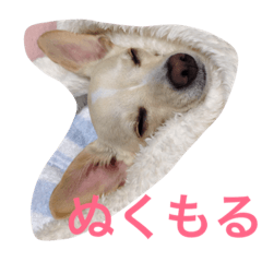 [LINEスタンプ] ぬくもる