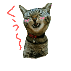 [LINEスタンプ] ニアと愉快なお友達