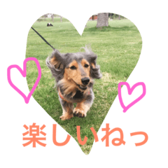 [LINEスタンプ] モカココ ダックス1