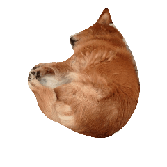 [LINEスタンプ] ころんげくん