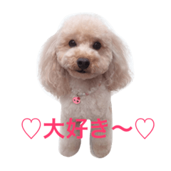 [LINEスタンプ] 気ままなここにゃん♡第2弾