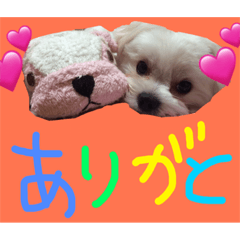 [LINEスタンプ] Remooonwww