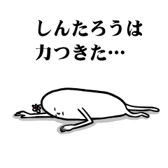 [LINEスタンプ] しんたろうさんの毎日お名前スタンプ