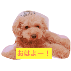 [LINEスタンプ] moka.y