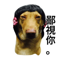 [LINEスタンプ] Crazy Cutie Doggy