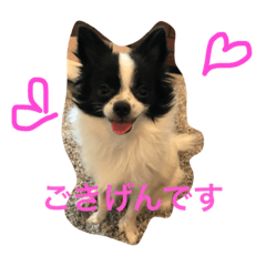 [LINEスタンプ] アリピー
