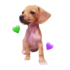 [LINEスタンプ] mocachan