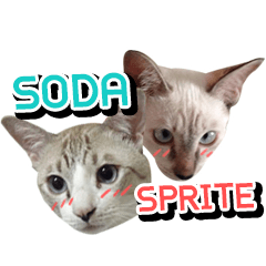 [LINEスタンプ] Soda＆Sprite
