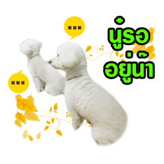 [LINEスタンプ] pea＆huay naughty dog