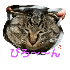 [LINEスタンプ] 名前はらぶです。