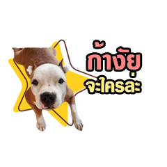 [LINEスタンプ] I am Leica