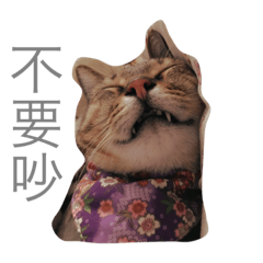 [LINEスタンプ] yong life