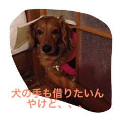 [LINEスタンプ] inunokimoti