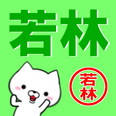 [LINEスタンプ] 超★若林(わかばやし・わかはやし)なイヌの画像（メイン）