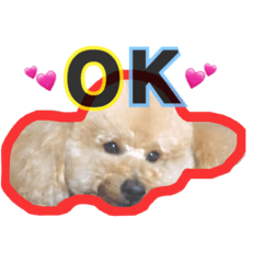 [LINEスタンプ] 過保護のプーちゃん