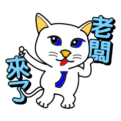 [LINEスタンプ] Blue-eyed cat - happy businessの画像（メイン）