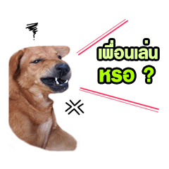 [LINEスタンプ] The Construction Dog