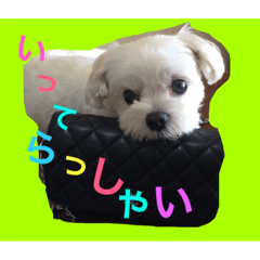 [LINEスタンプ] renaya