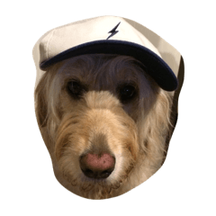 [LINEスタンプ] dogsfreak2