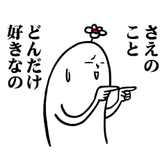 [LINEスタンプ] さえさんの毎日お名前スタンプ