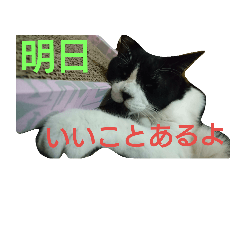 [LINEスタンプ] ICHIZOU