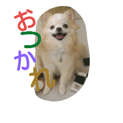 [LINEスタンプ] krhi2