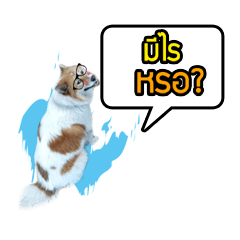 [LINEスタンプ] Mu Mini Bangkaew Dog