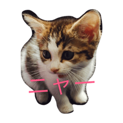 [LINEスタンプ] まんちひめ