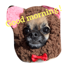 [LINEスタンプ] 自己満愛犬スタンプ❶