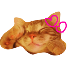 [LINEスタンプ] れおれおスタンプ