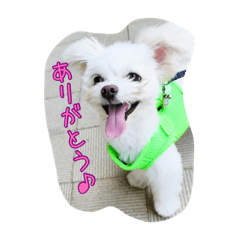 [LINEスタンプ] コッパーすたんぷ 3