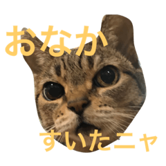 [LINEスタンプ] エモンちゃん