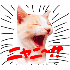 [LINEスタンプ] ゆきちゃんと春くん