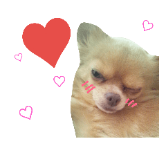 [LINEスタンプ] もふもふの日常(ミルキー)
