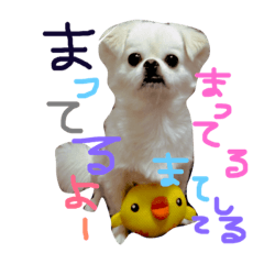 [LINEスタンプ] ゴマとはな2