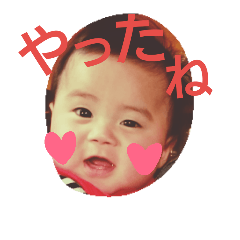 [LINEスタンプ] 行け！行け！コハクさん 2