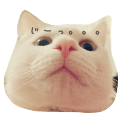 [LINEスタンプ] いそべ もち
