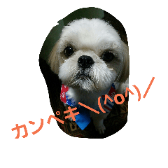 [LINEスタンプ] many  sizu  2
