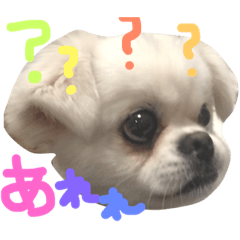 [LINEスタンプ] ゴマとはな
