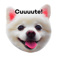 [LINEスタンプ] ミルク！