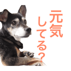 [LINEスタンプ] Puru obaachan