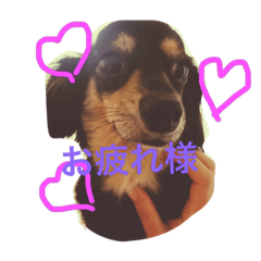 [LINEスタンプ] ririta！2！