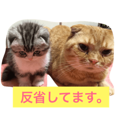 [LINEスタンプ] みんみんペット