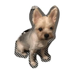 [LINEスタンプ] Amay