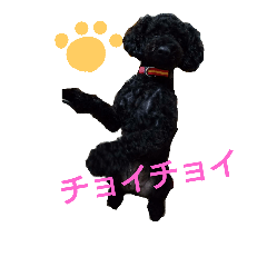 [LINEスタンプ] may0922