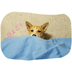 [LINEスタンプ] 日常のワンシーン